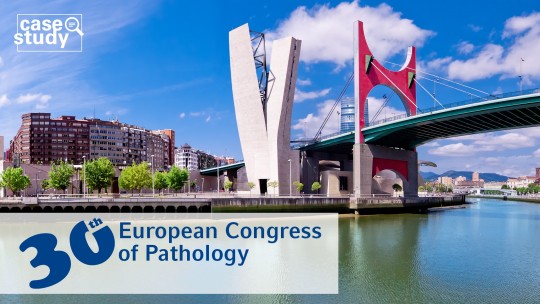 Successful Anniversary of the ECP Congress in Bilbao, Spain